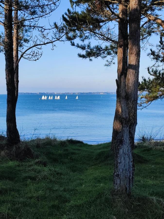 Le 3 Appartement Vue Mer Avec Jardin 100M De La Plage Et De La Thalasso Конкарно Экстерьер фото